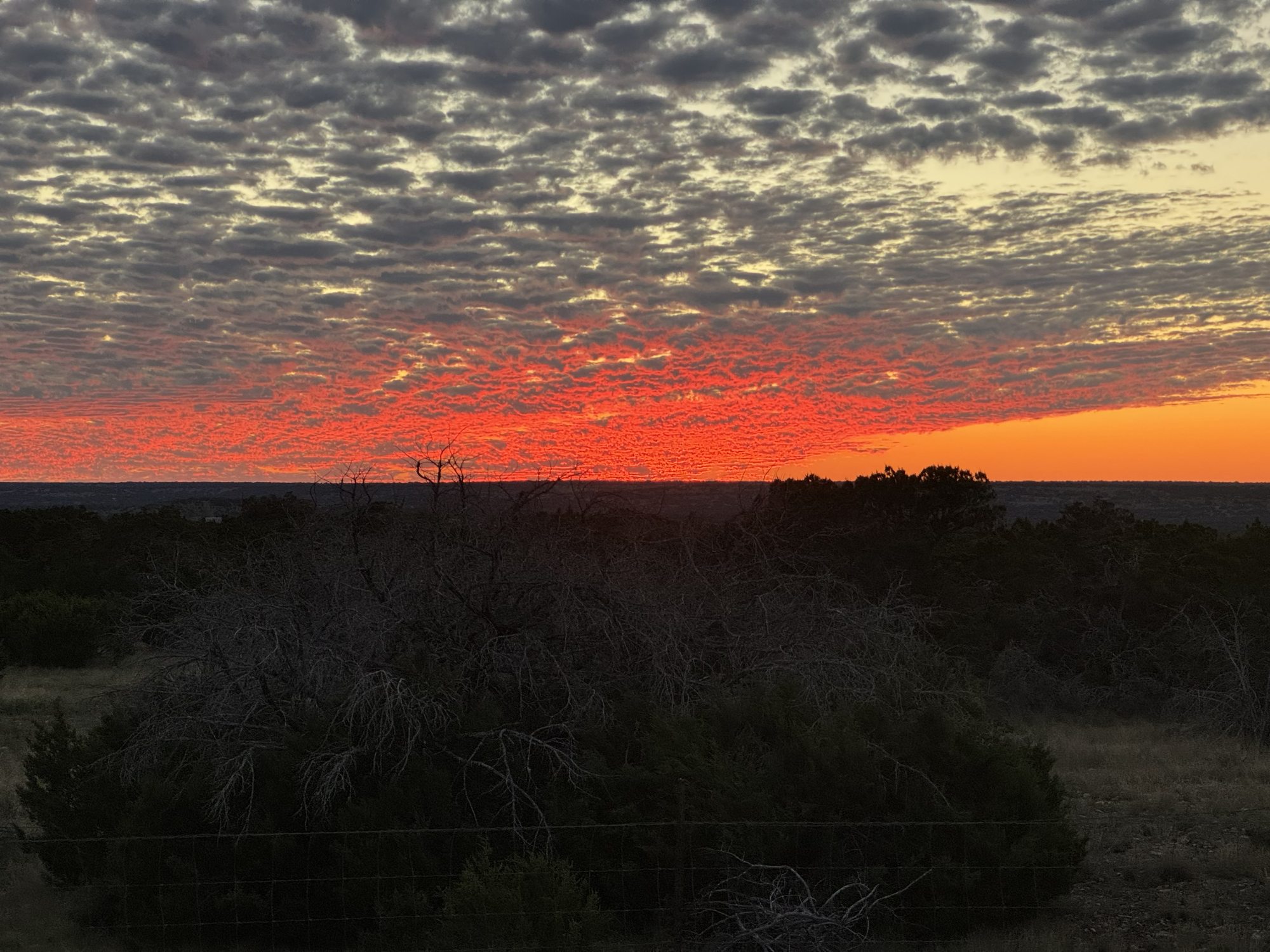 Texas Hill Country sunset — crimson sky over the ranch scrubland at 3-Wire Ranch
