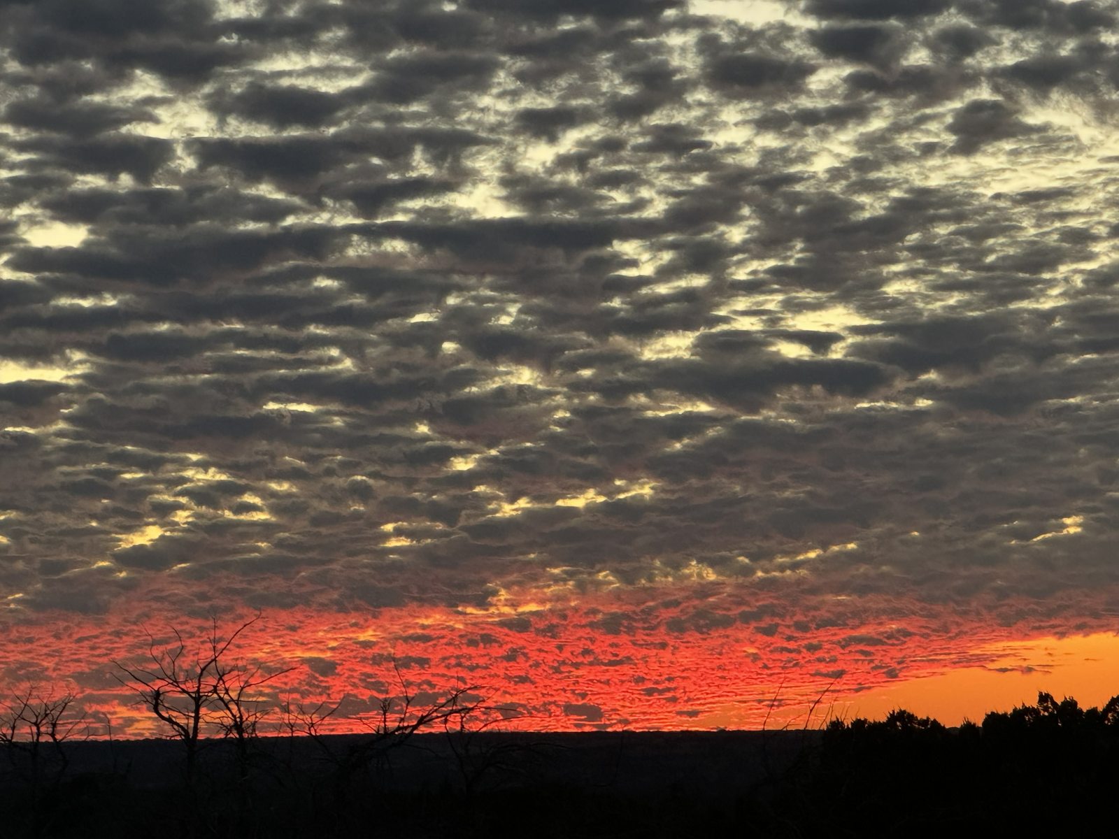 Texas Hill Country sunset — crimson sky over 3-Wire Ranch scrubland at dusk